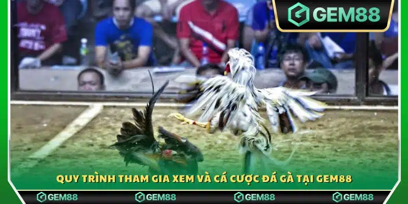 Các bước tham gia xem trực tiếp và đặt kèo
